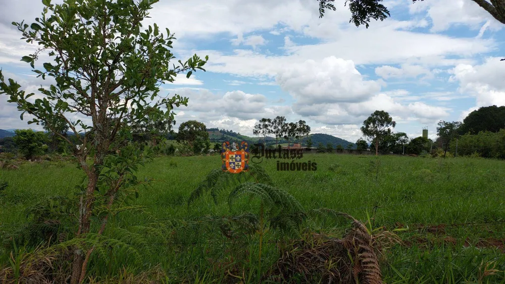 Terreno, 6 hectares - Foto 3