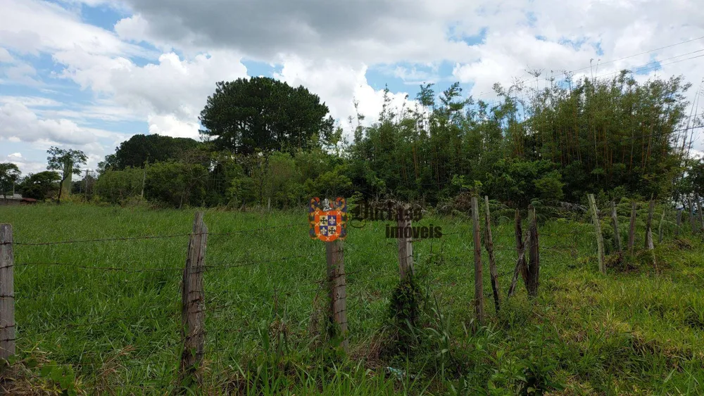 Terreno, 6 hectares - Foto 4