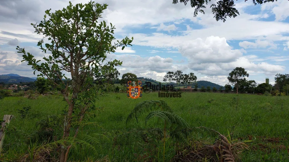 Terreno, 6 hectares - Foto 8