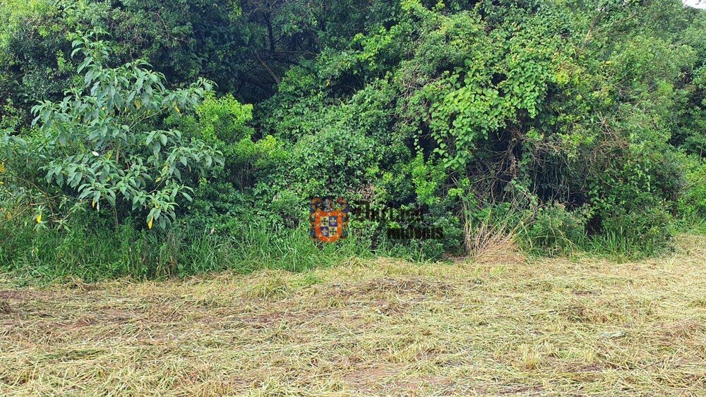 Terreno, 4 hectares - Foto 3