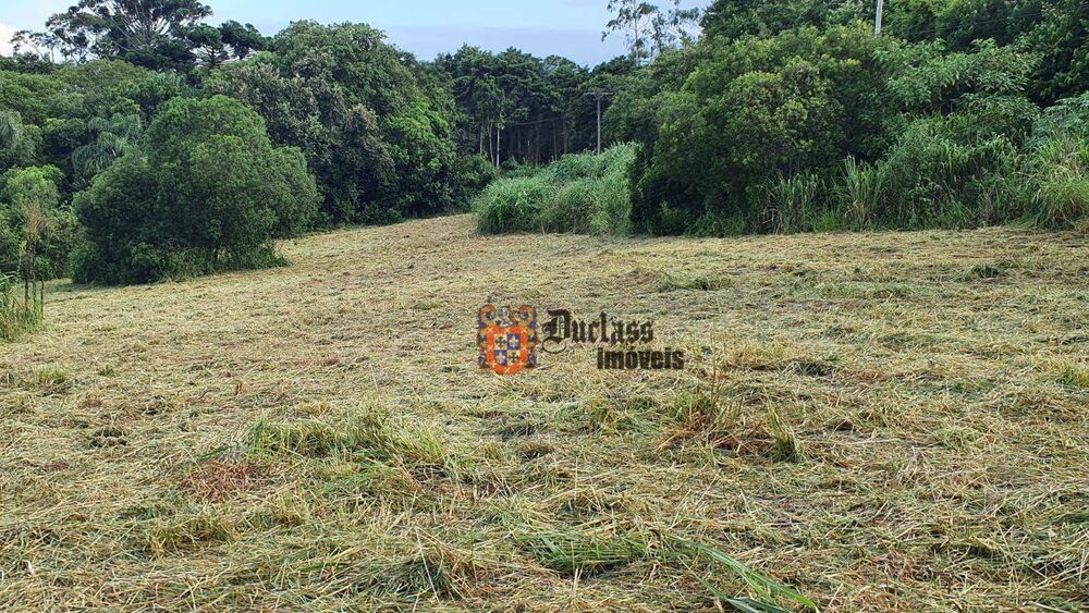 Terreno, 4 hectares - Foto 1