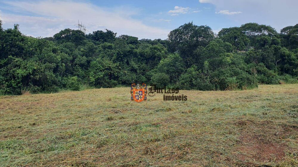 Terreno, 4 hectares - Foto 4