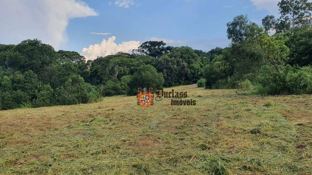 Terreno, 4 hectares - Foto 3
