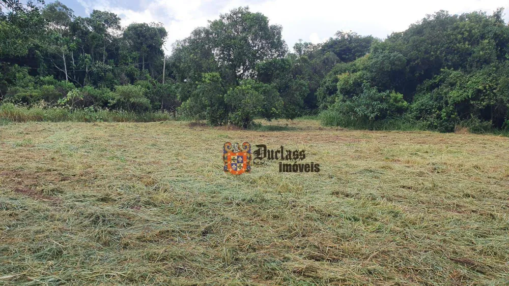 Terreno, 4 hectares - Foto 9