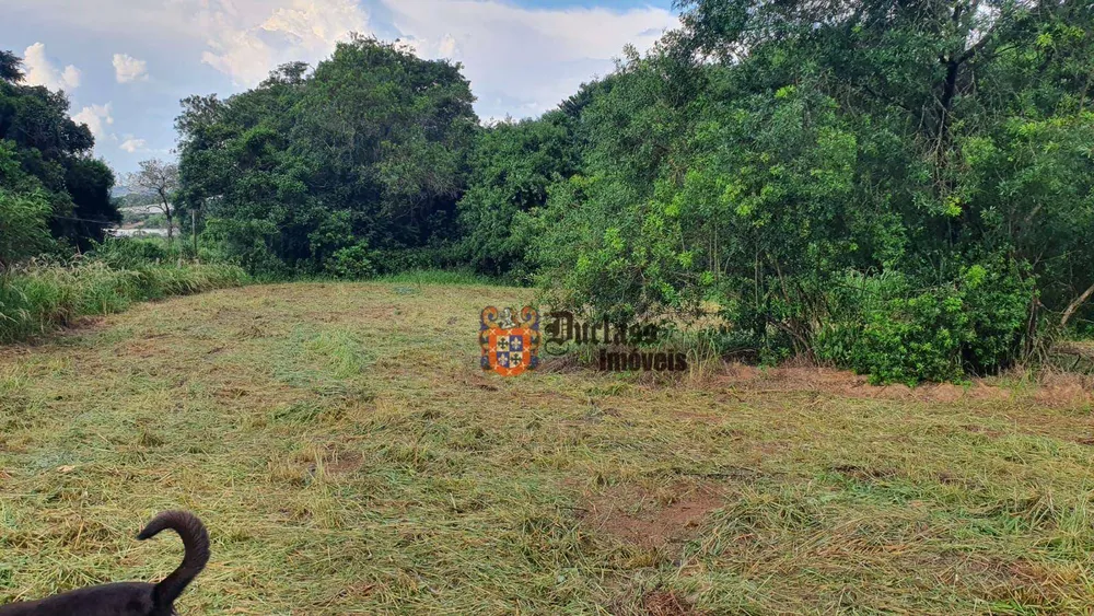 Terreno, 4 hectares - Foto 6