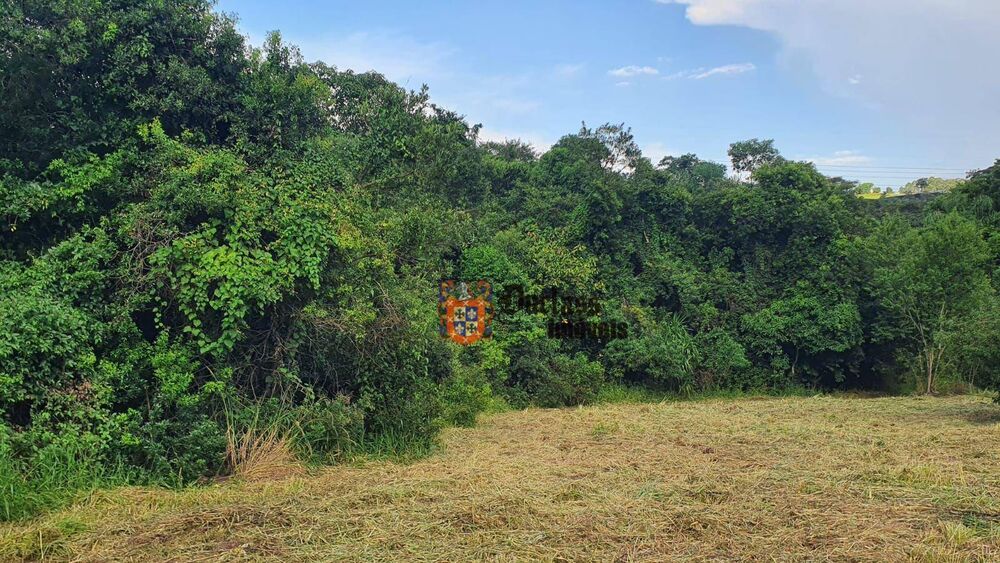 Terreno, 4 hectares - Foto 2