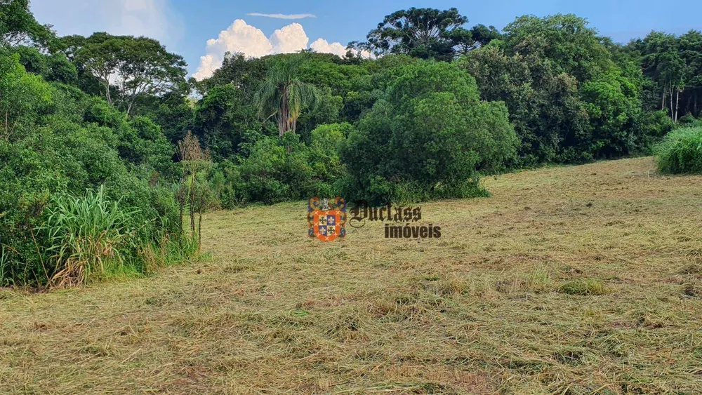 Terreno, 4 hectares - Foto 1