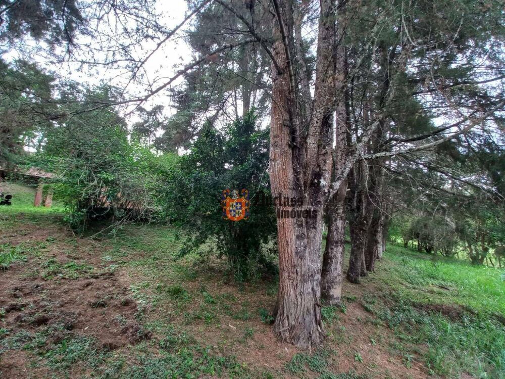 Terreno, 2 hectares - Foto 3