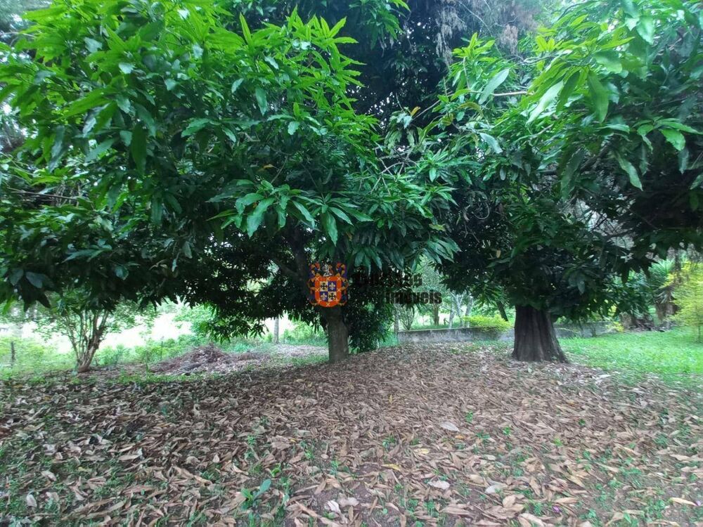 Terreno, 2 hectares - Foto 2