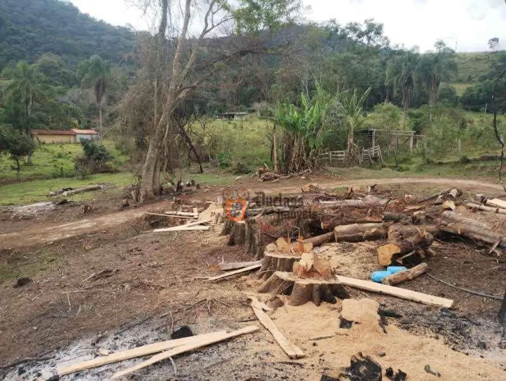 Terreno, 2 hectares - Foto 7