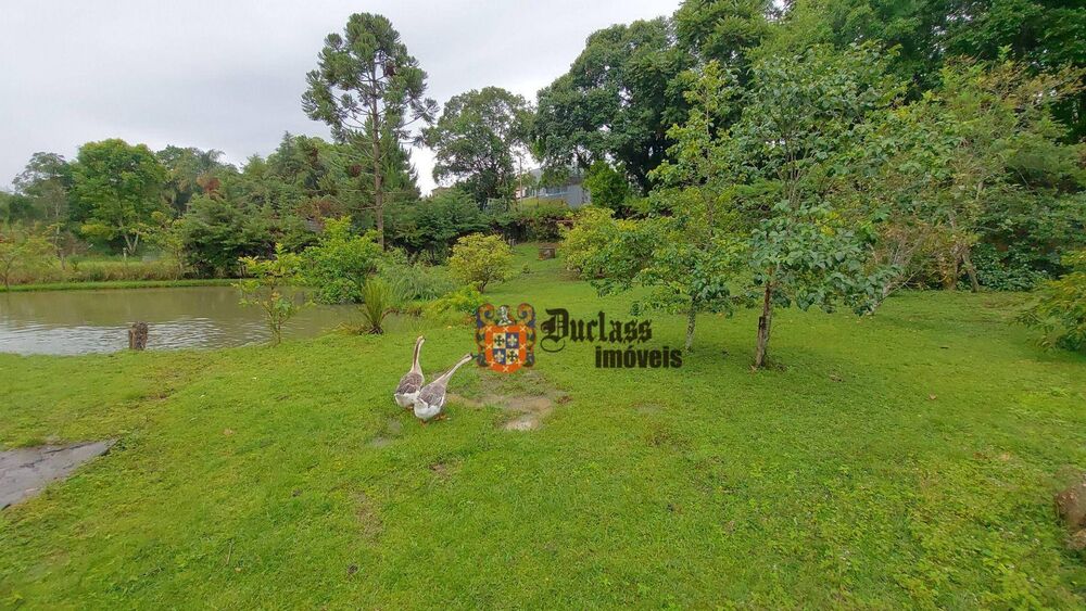 Chácara, 4 quartos, 8000 m² - Foto 1