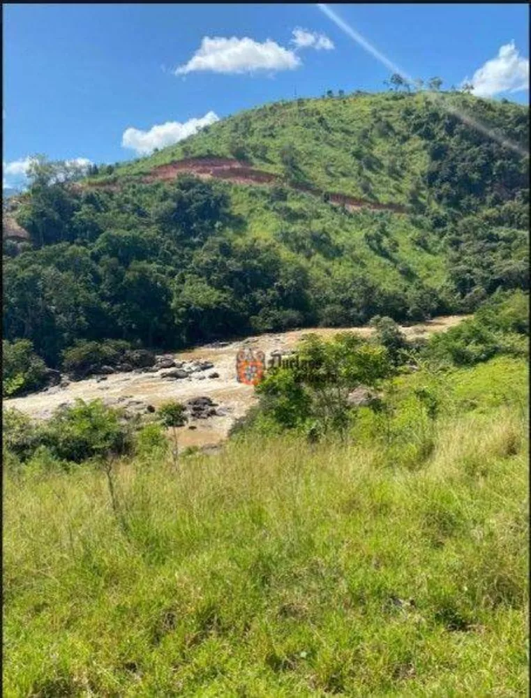 Fazenda, 160 hectares - Foto 12