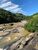 Fazenda-Sítio-Chácara, 160 hectares - Foto 1