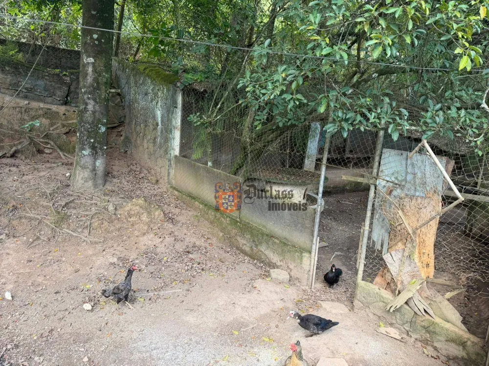 Chácara, 7 quartos, 2 hectares - Foto 2