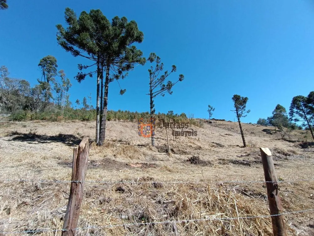Sítio, 5 quartos, 13 hectares - Foto 8