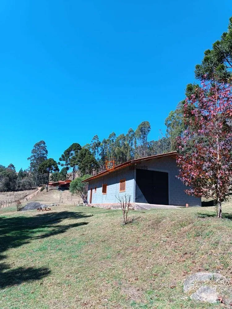 Sítio, 5 quartos, 13 hectares - Foto 6