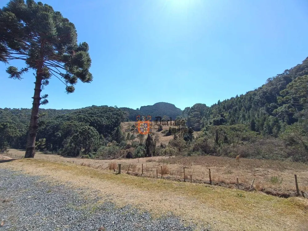 Sítio, 5 quartos, 13 hectares - Foto 3
