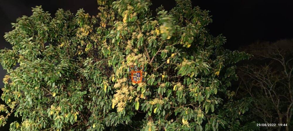 Casa de Condomínio, 4 quartos - Foto 12