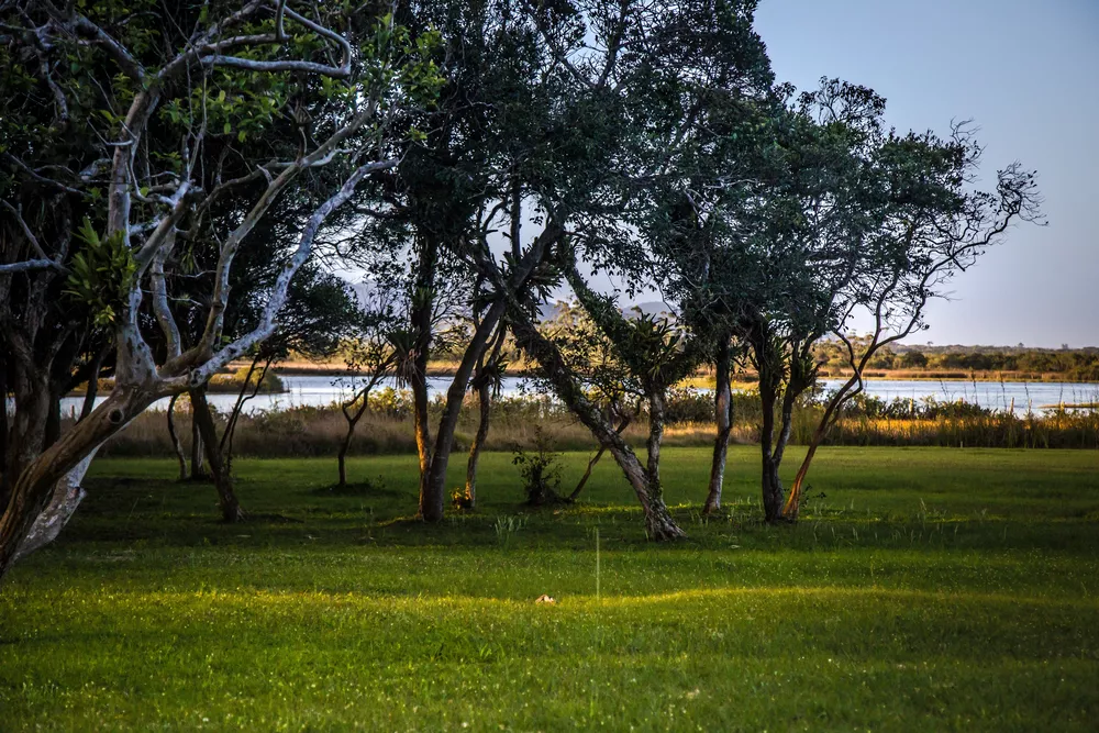 Loteamento e Condomínio - Foto 4