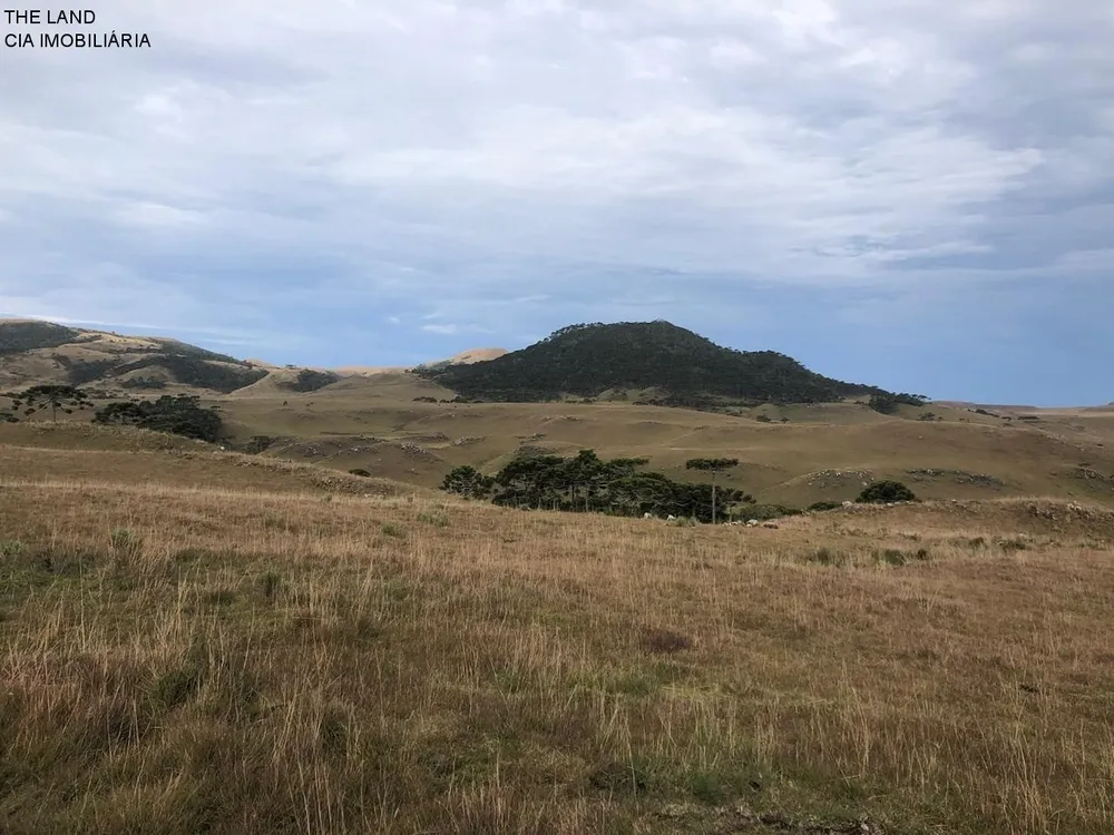 Fazenda - Foto 5