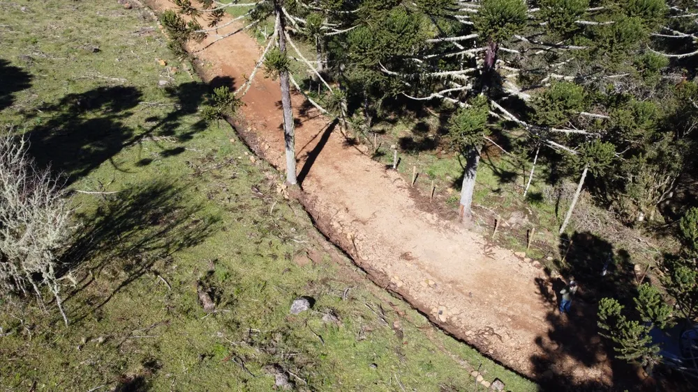Terreno, 2 hectares - Foto 4