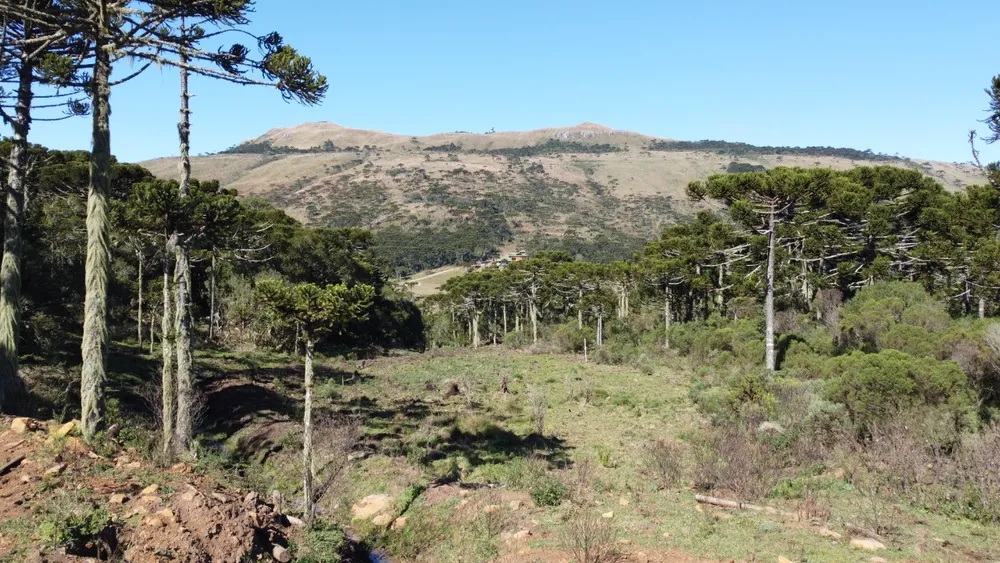 Terreno, 2 hectares - Foto 9