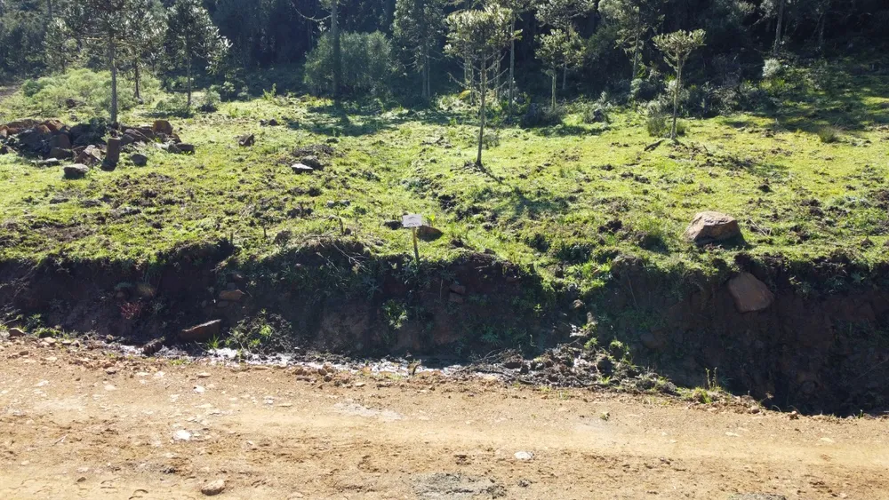 Terreno, 2 hectares - Foto 11