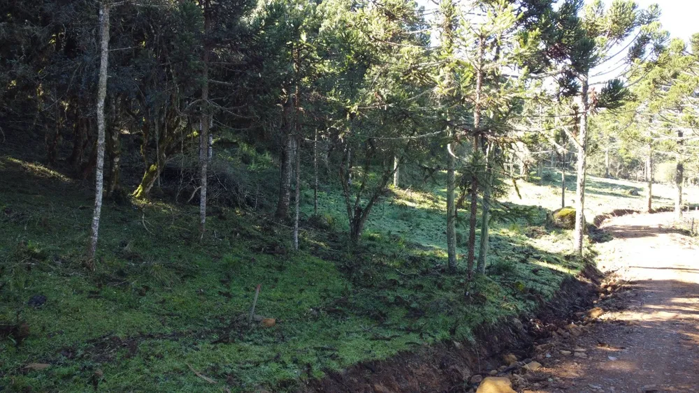 Terreno, 2 hectares - Foto 8