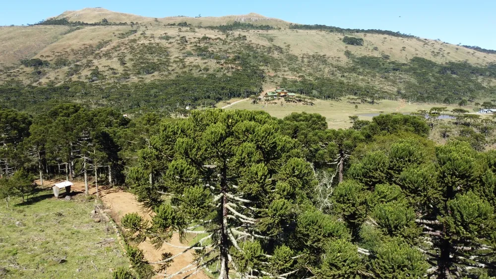 Terreno, 2 hectares - Foto 1