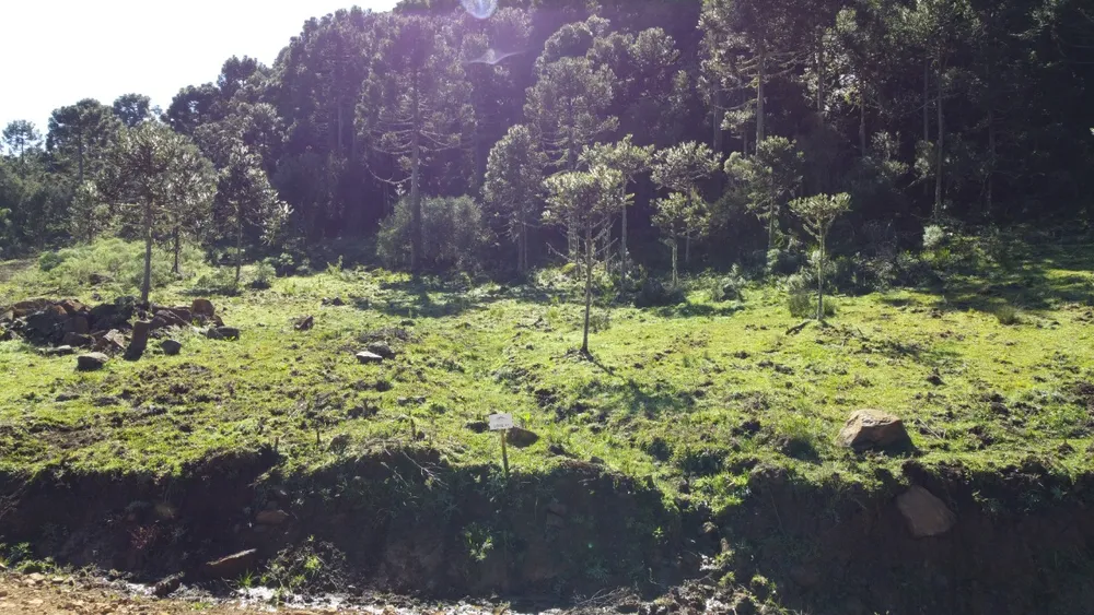 Terreno, 2 hectares - Foto 10