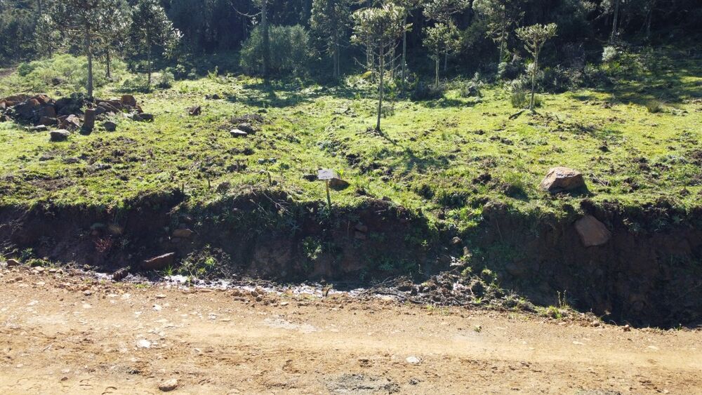 Terreno, 2 hectares - Foto 4