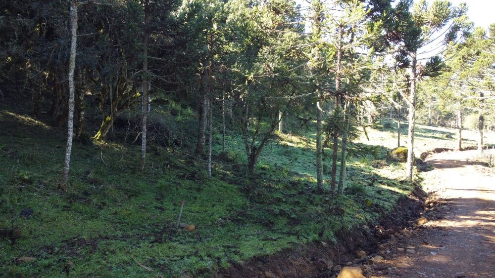 Terreno, 2 hectares - Foto 3