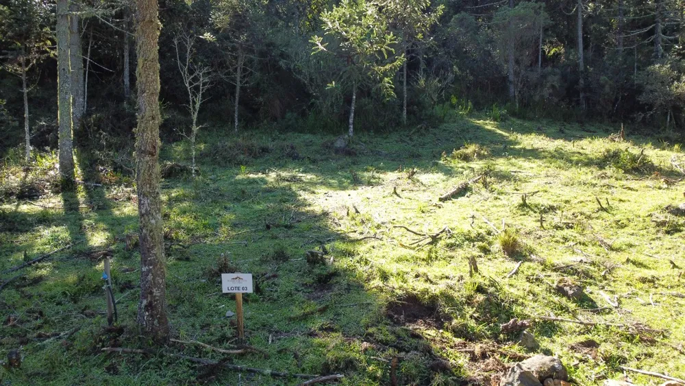 Terreno, 2 hectares - Foto 7