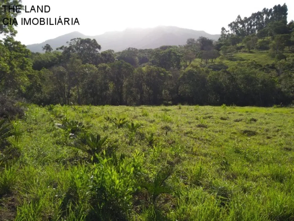Terreno - Foto 3