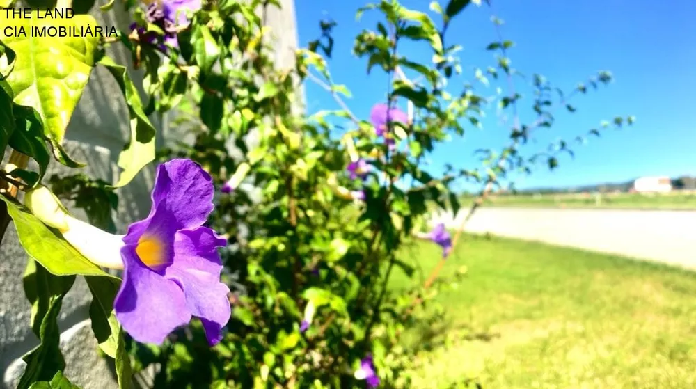 Terreno, 450 m² - Foto 1