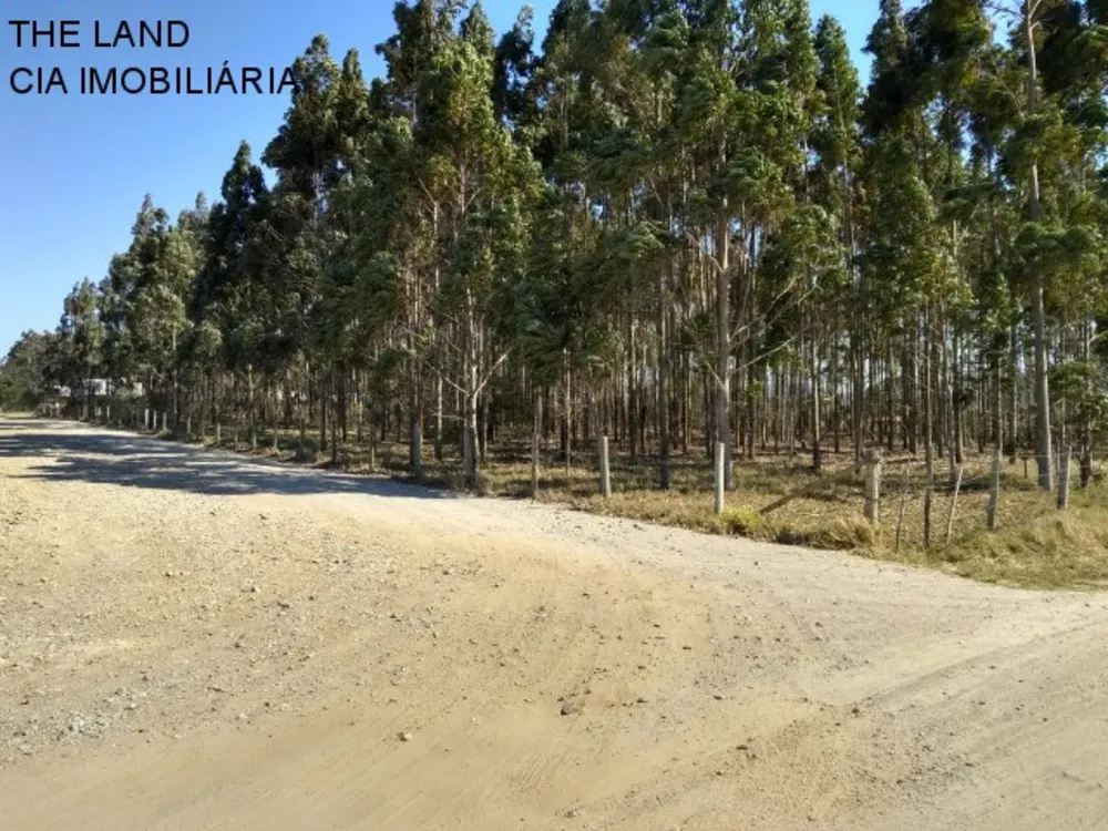 Terreno, 1 hectares - Foto 1
