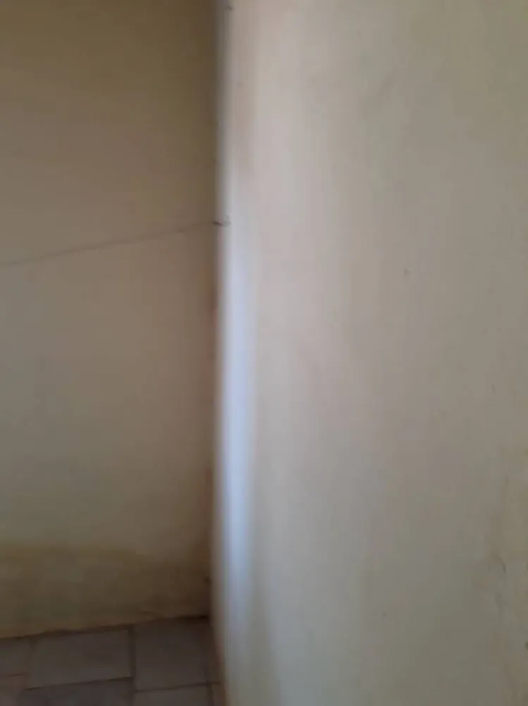Chácara, 2 quartos, 3875 m² - Foto 5