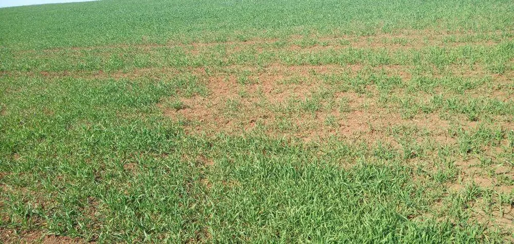 Terreno, 133 m² - Foto 8