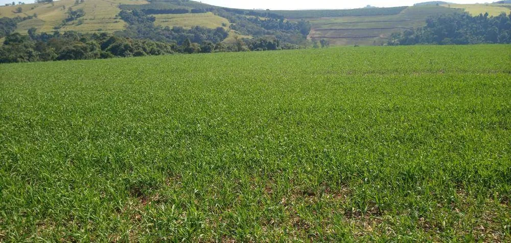 Terreno, 133 m² - Foto 6