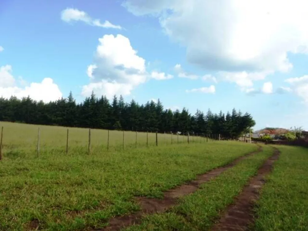 Fazenda à venda com 3 quartos, 150m² - Foto 6