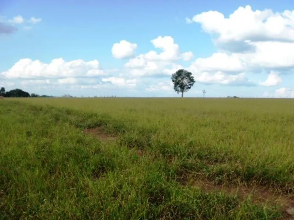 Fazenda à venda com 3 quartos, 150m² - Foto 11