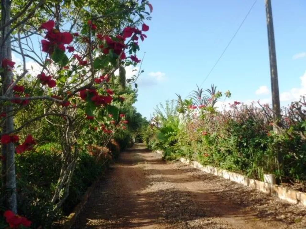 Fazenda à venda com 3 quartos, 150m² - Foto 4