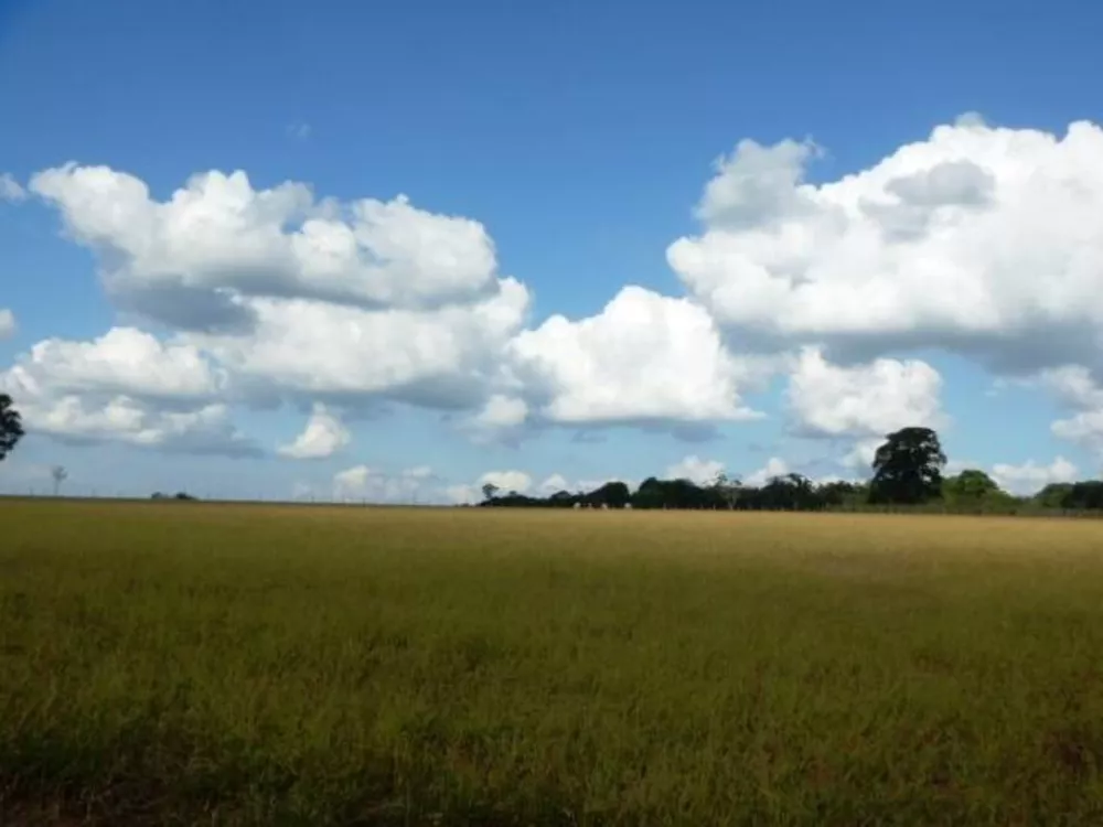 Fazenda à venda com 3 quartos, 150m² - Foto 10