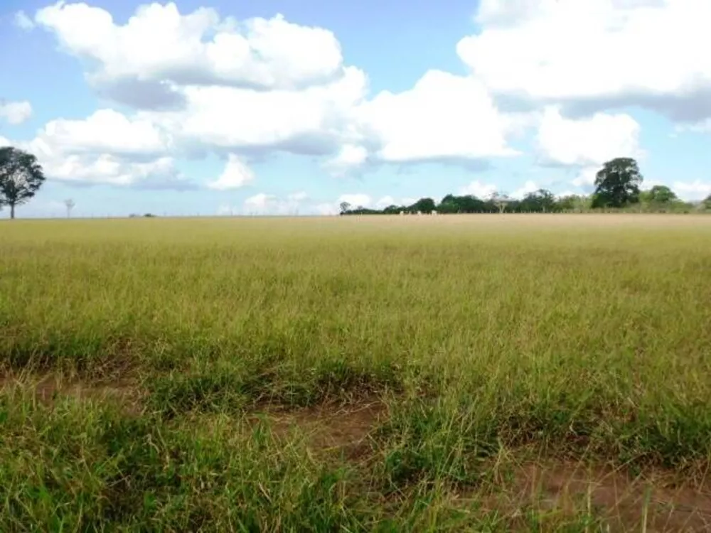 Fazenda à venda com 3 quartos, 150m² - Foto 5