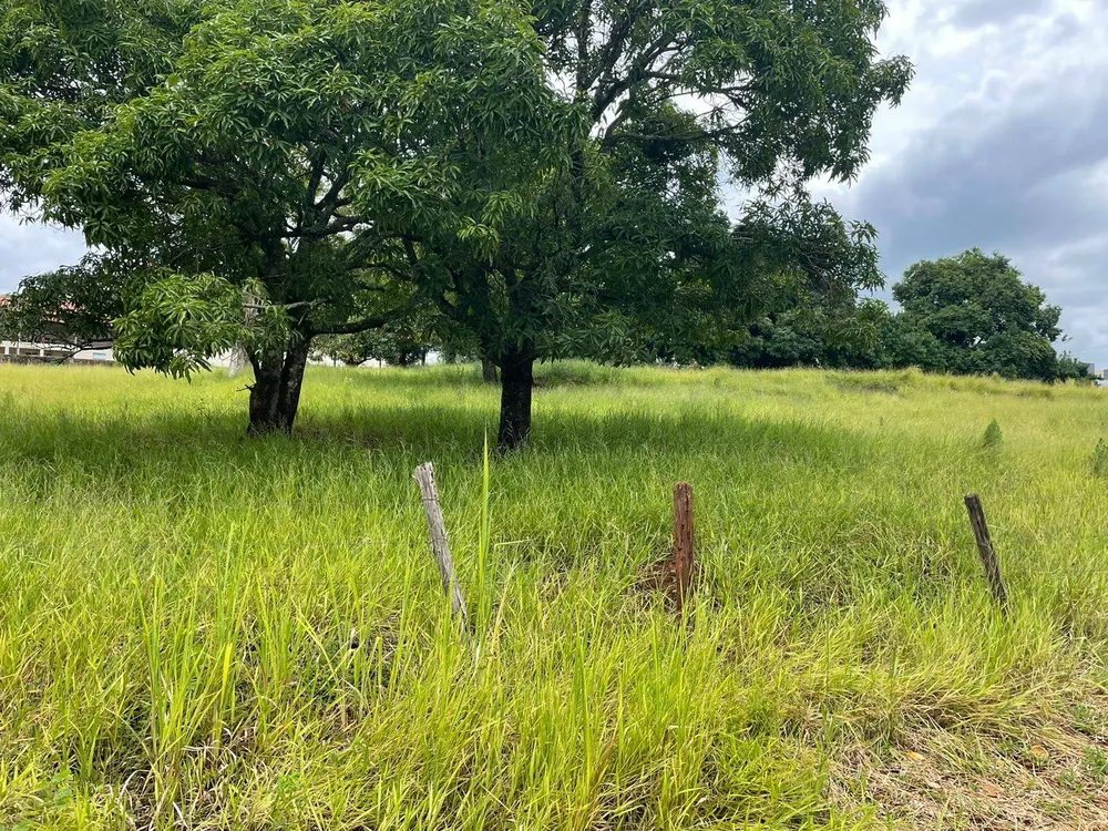Terreno, 4000 m² - Foto 2