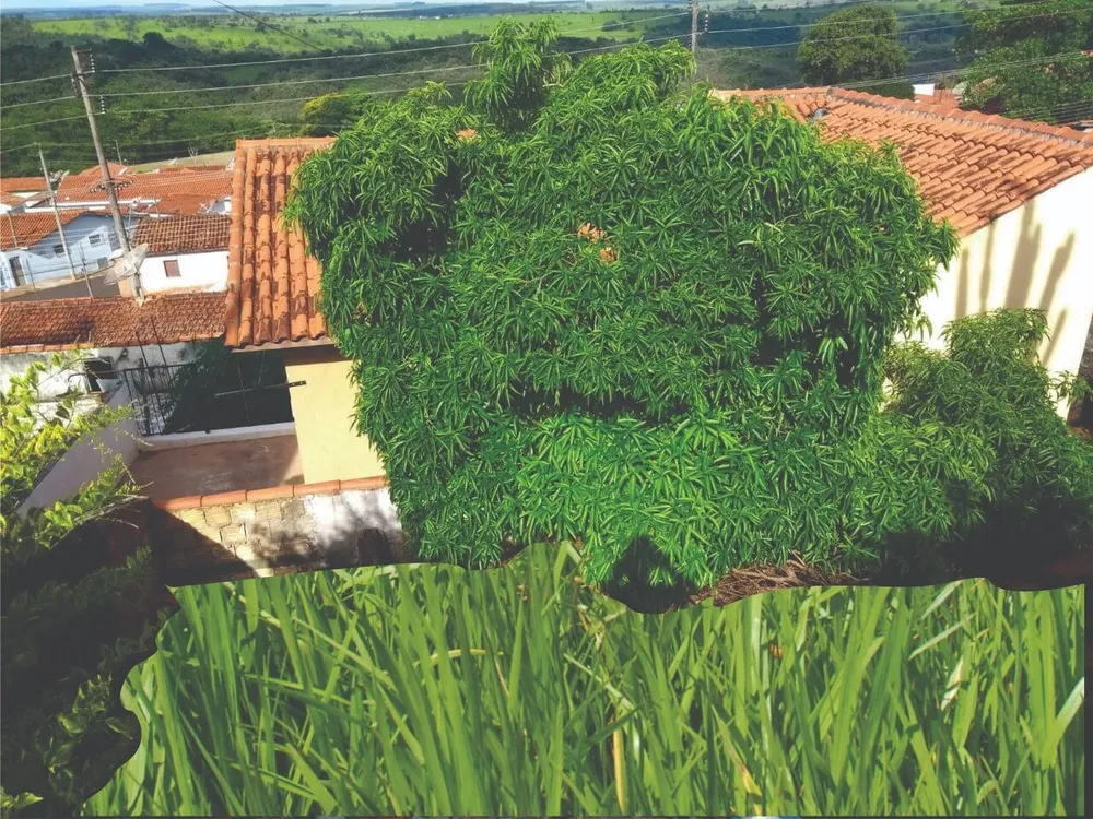 Casa - Foto 3