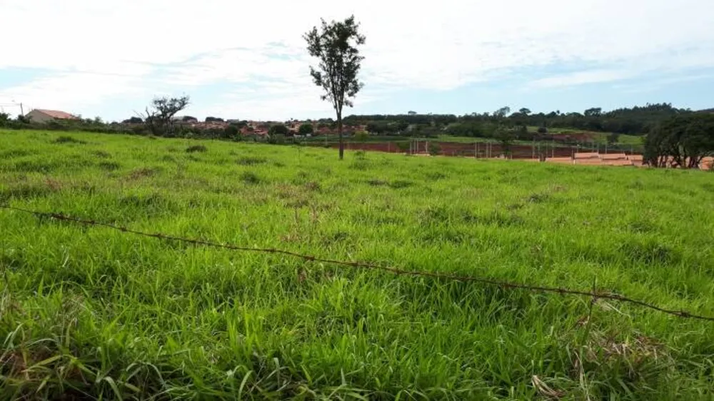 Terreno, 4000 m² - Foto 3