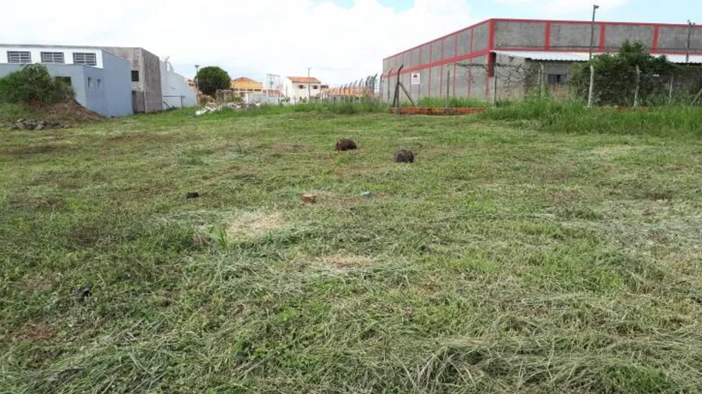 Terreno, 4200 m² - Foto 5
