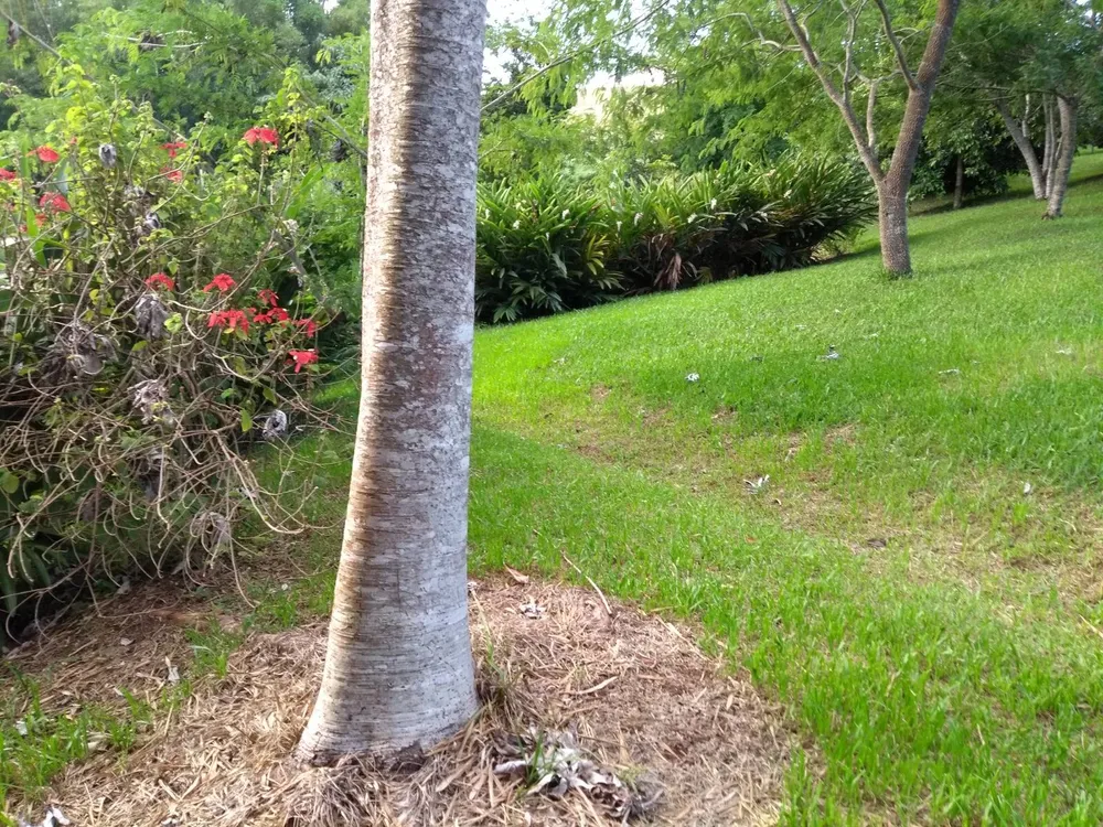 Terreno, 2 m² - Foto 7