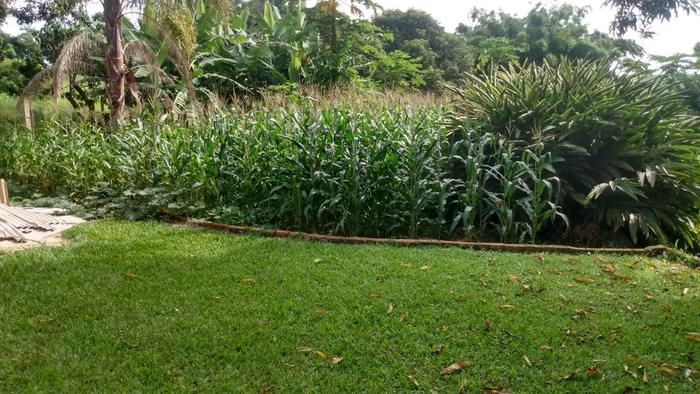 Terreno, 2 m² - Foto 11